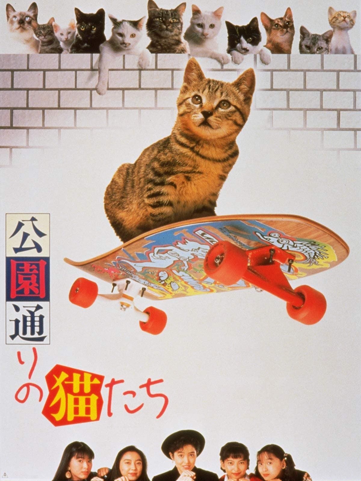 Cats on Park Avenue photo