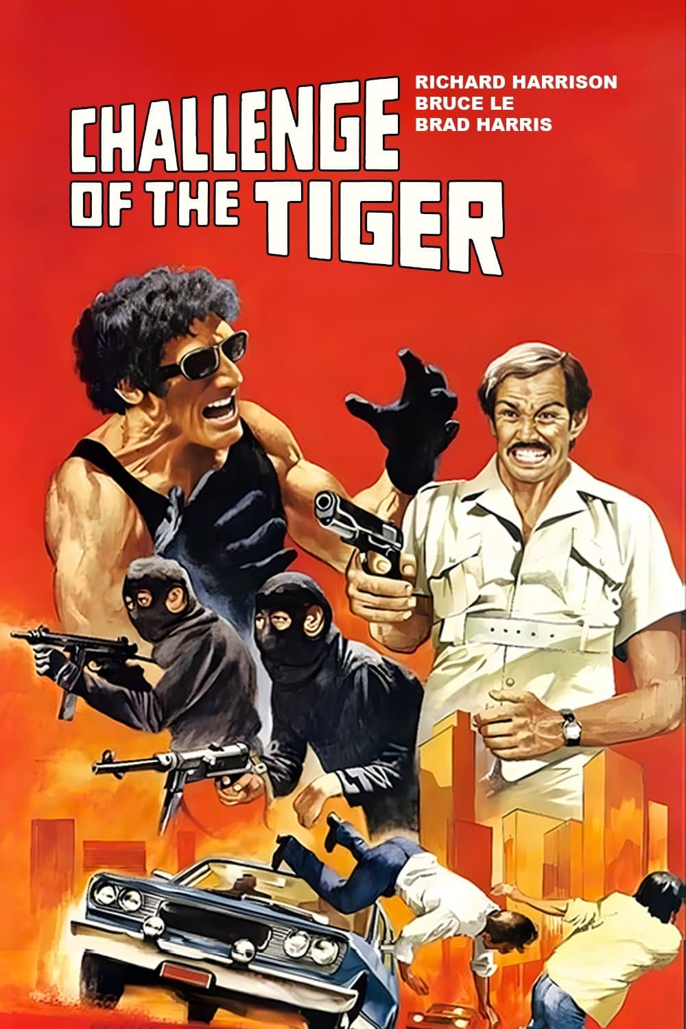 Challenge of the Tiger photo