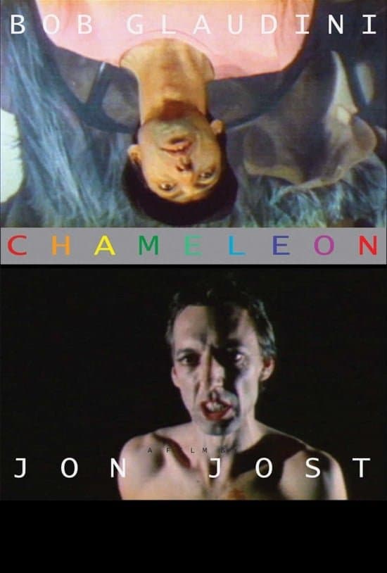 Chameleon photo