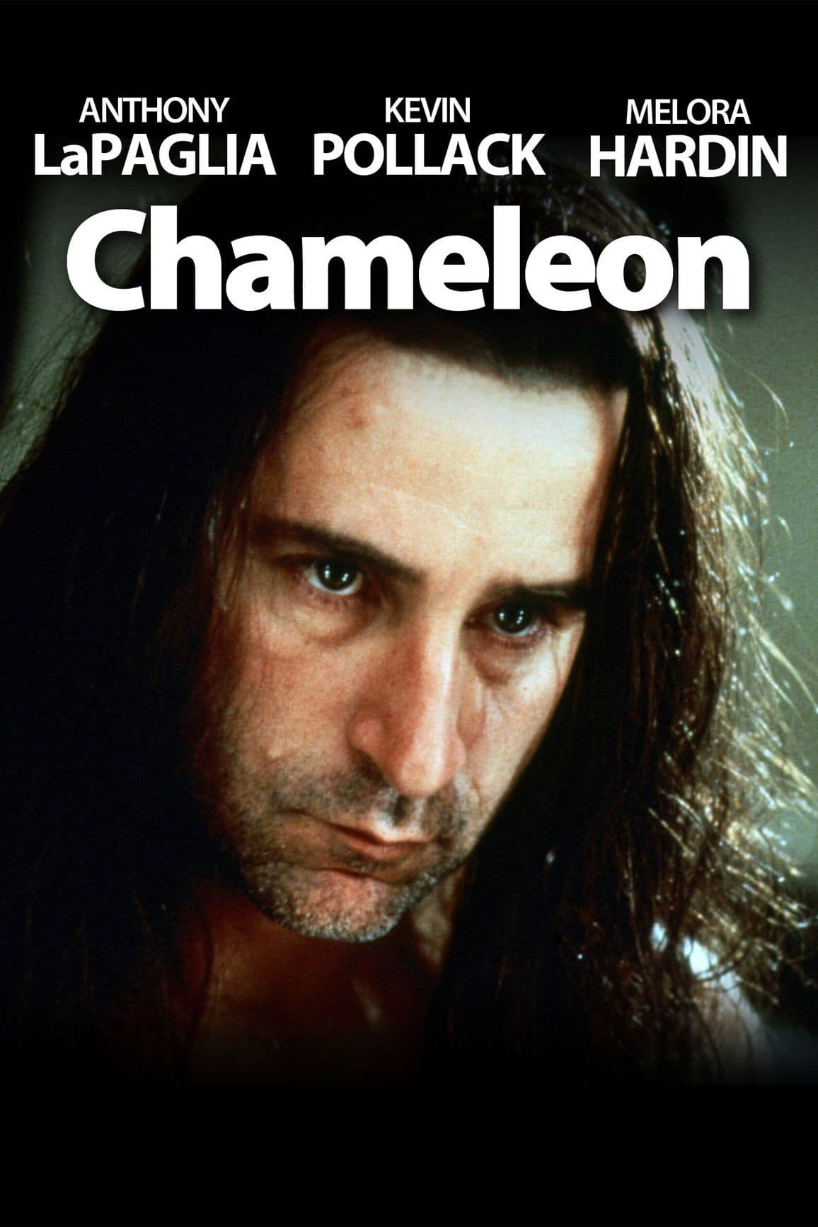 Chameleon photo