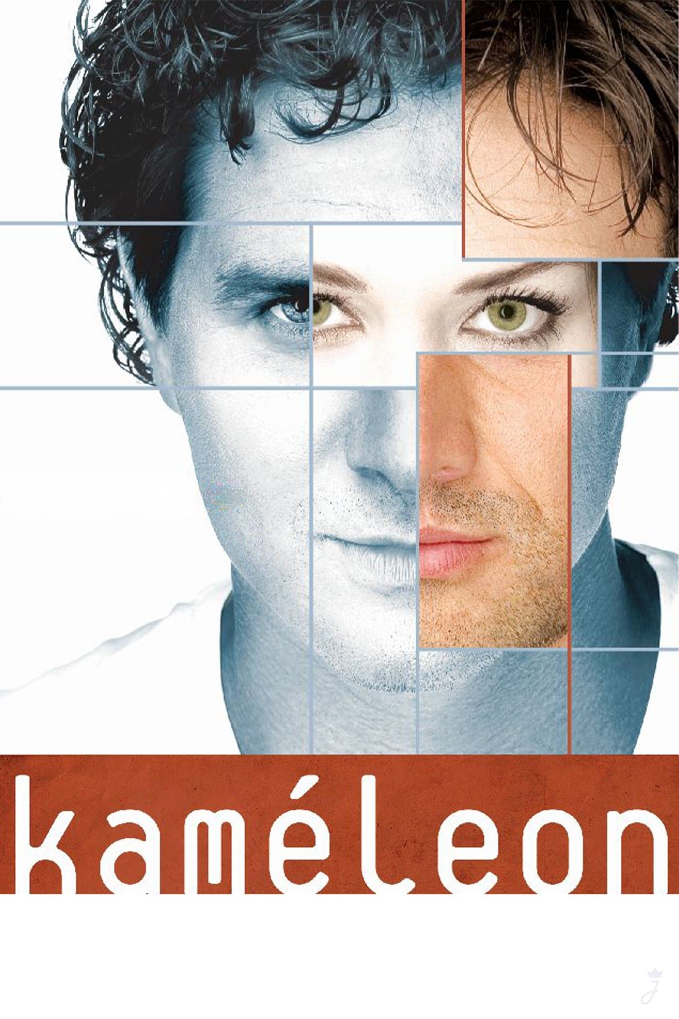 Chameleon photo