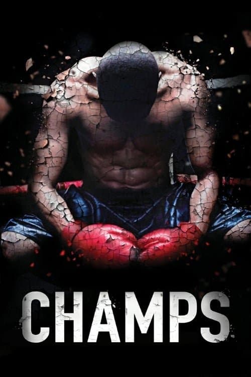 Champs photo