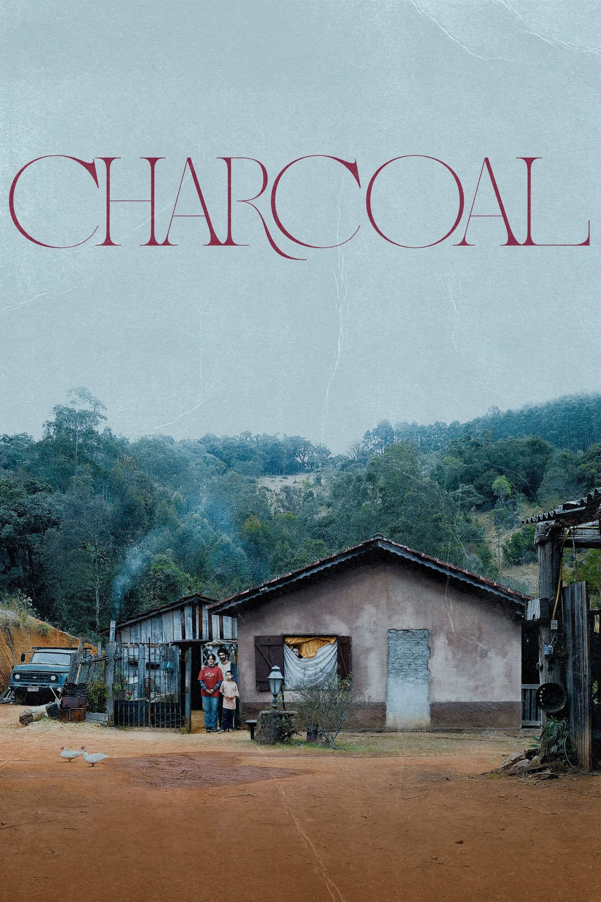 Charcoal photo