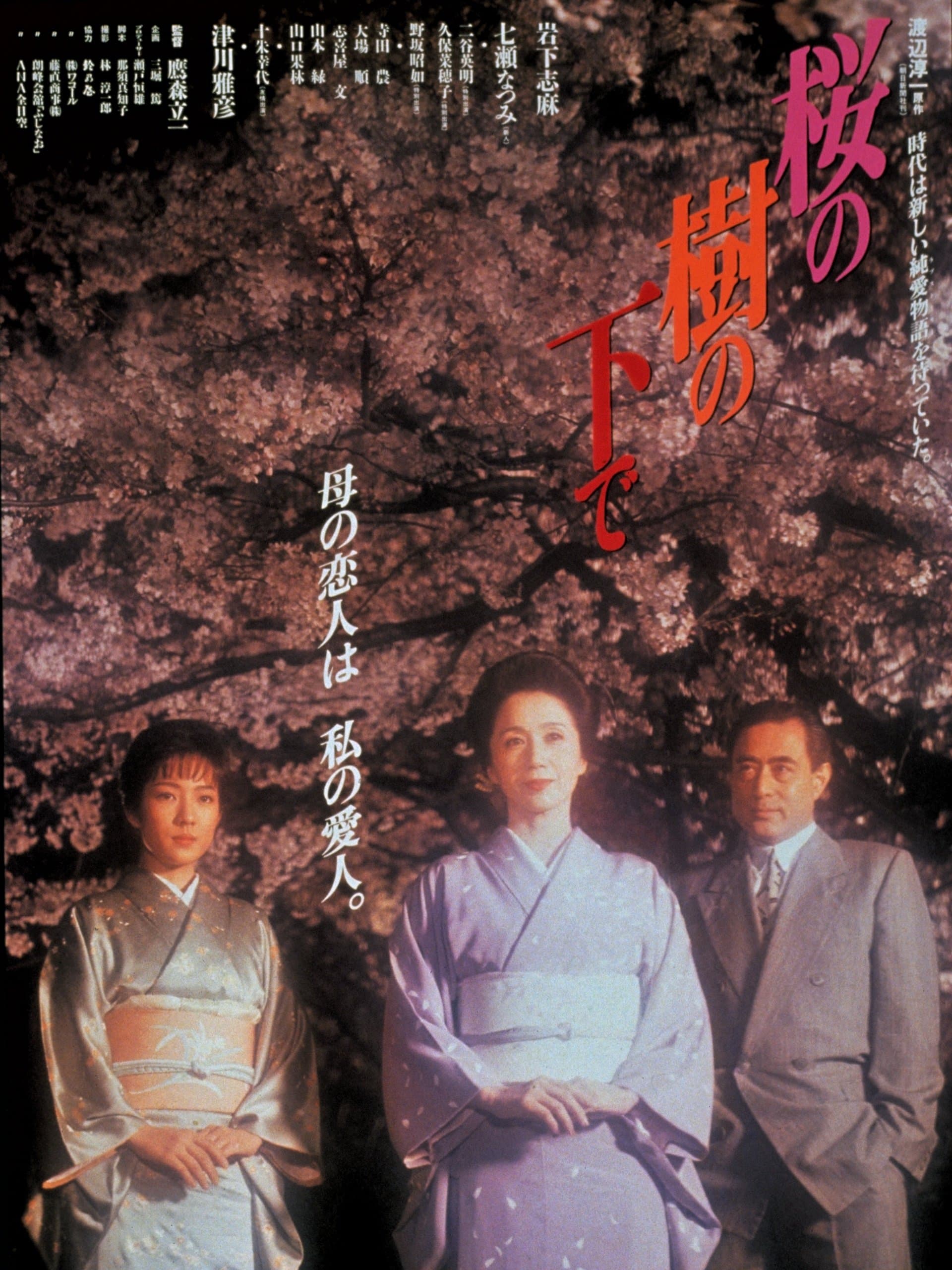 Cherry Blossoms photo
