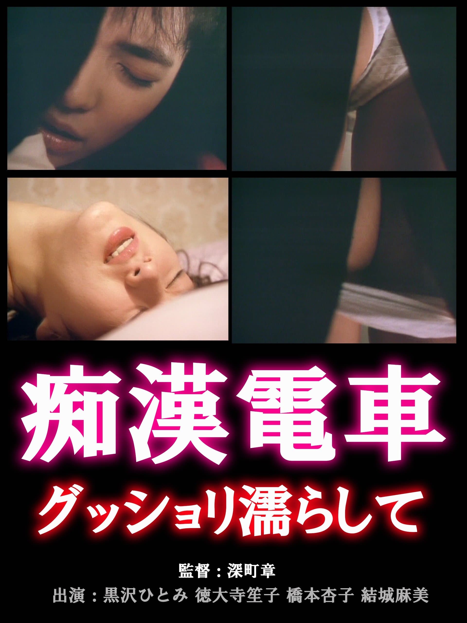 Chikan densha: Gusshori nurashite photo