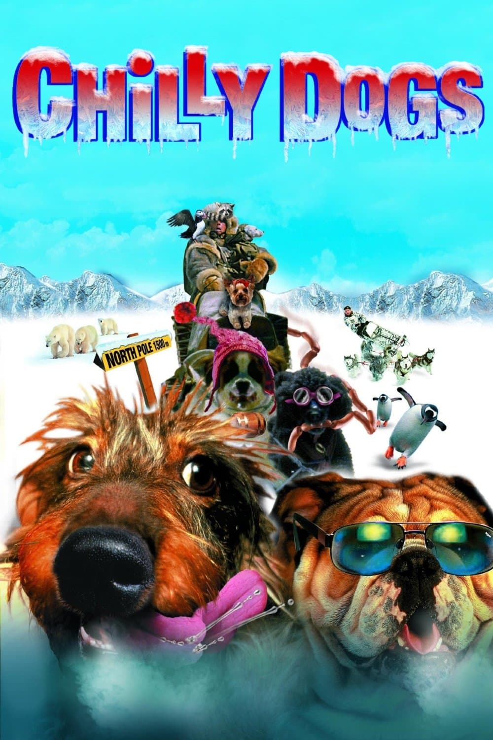 Chilly Dogs photo