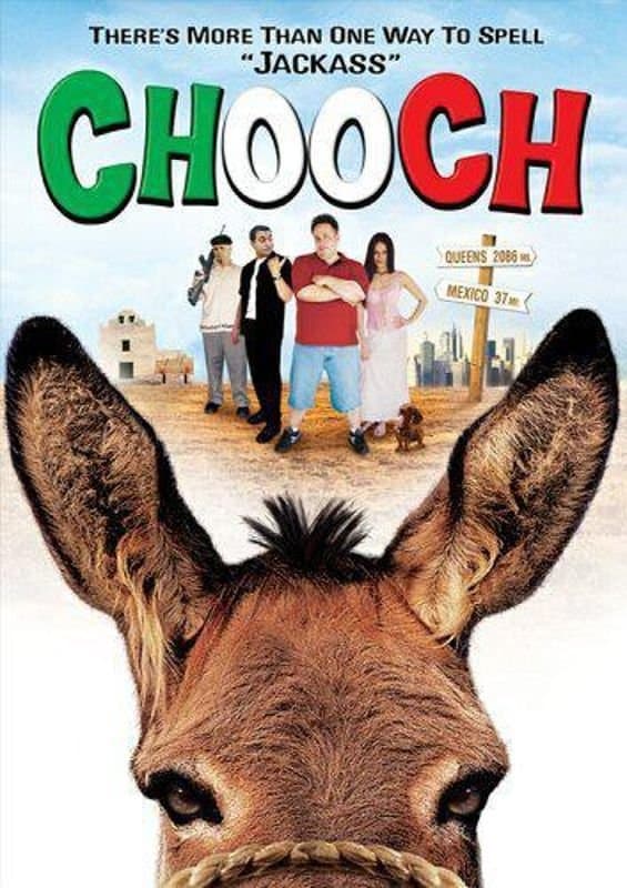Chooch photo
