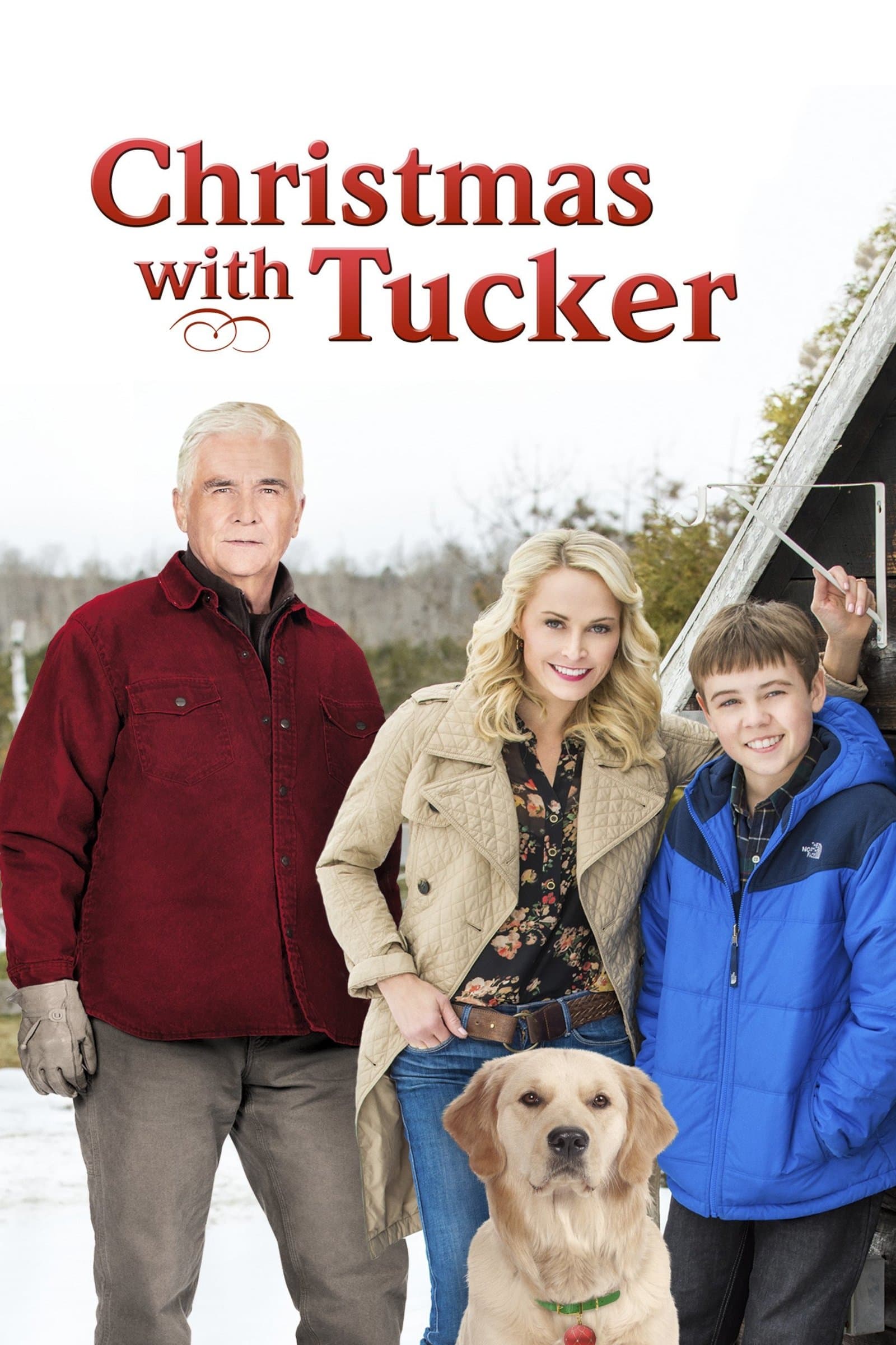 Christmas with Tucker photo