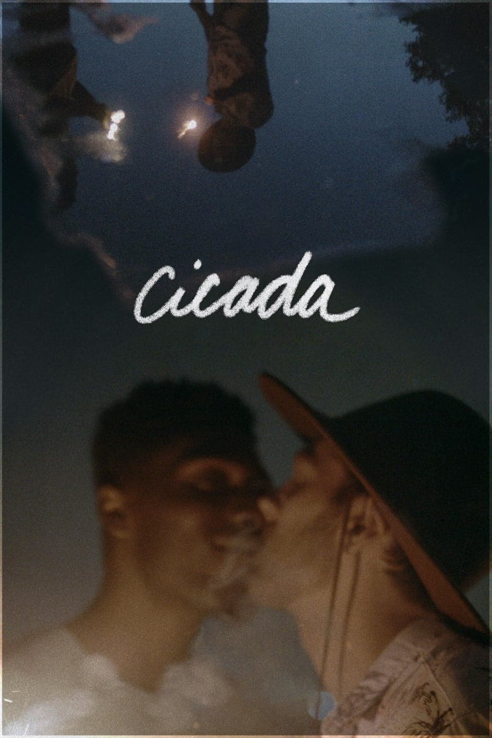 Cicada photo