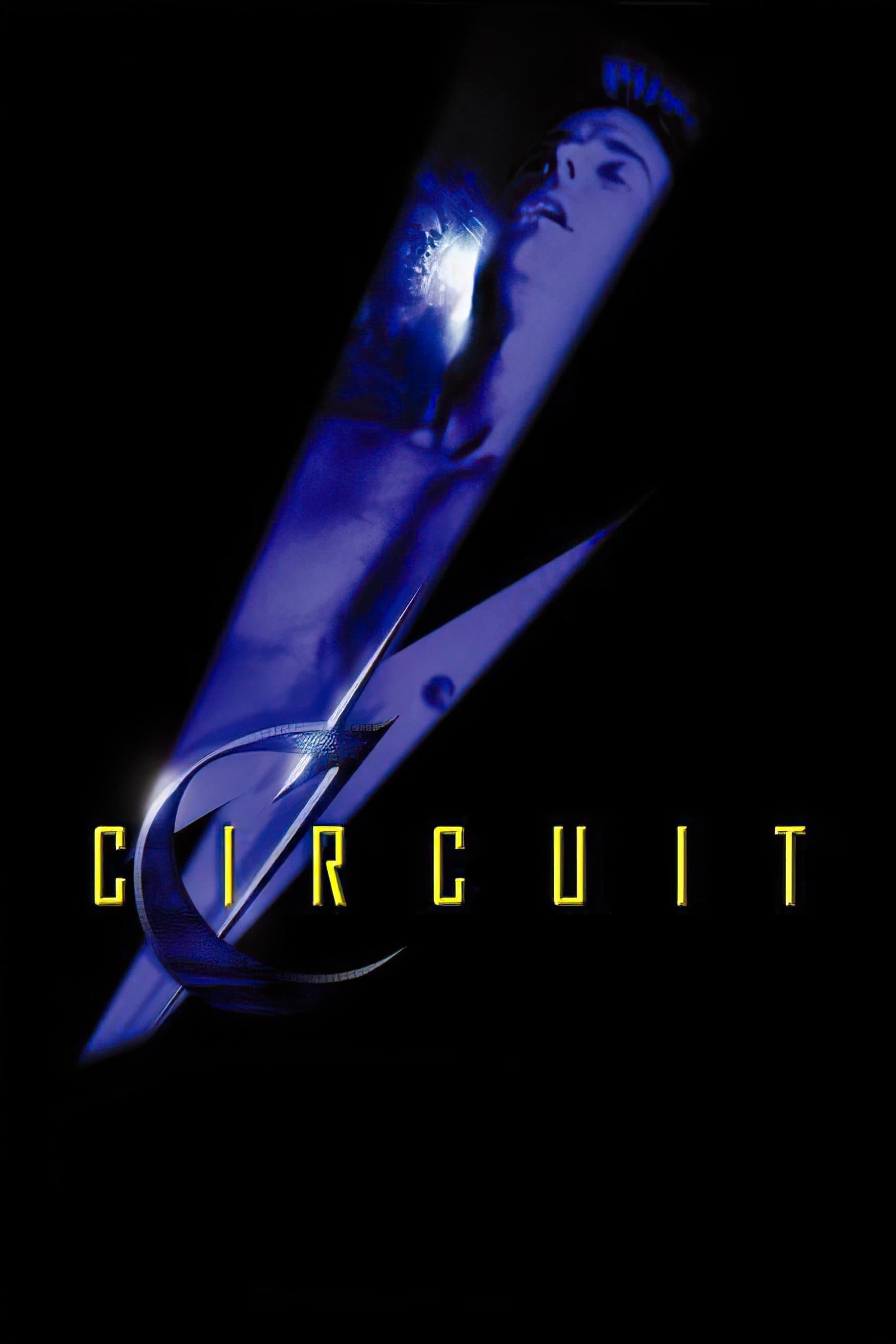 Circuit photo