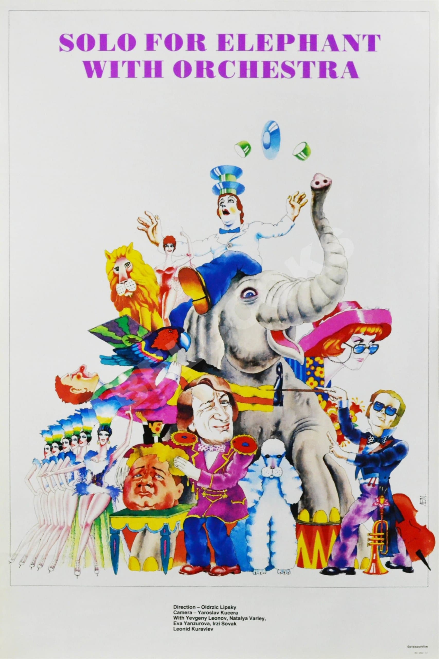 Circus in the Circus photo