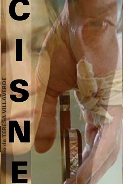 Cisne photo