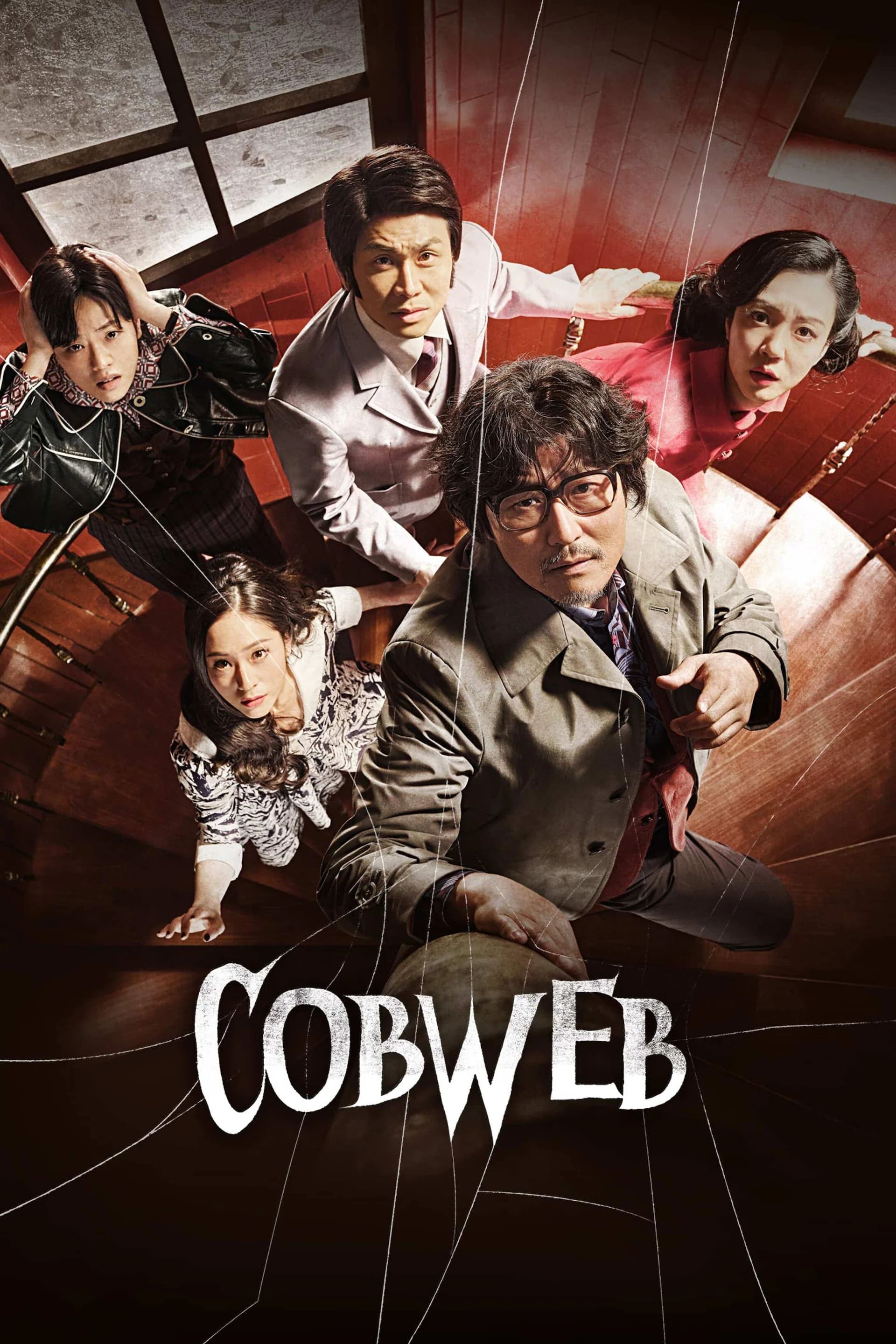 Cobweb photo