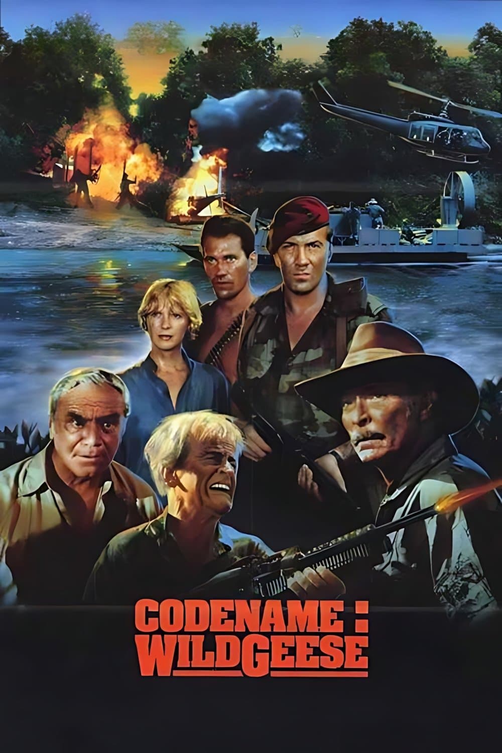 Code Name: Wild Geese photo