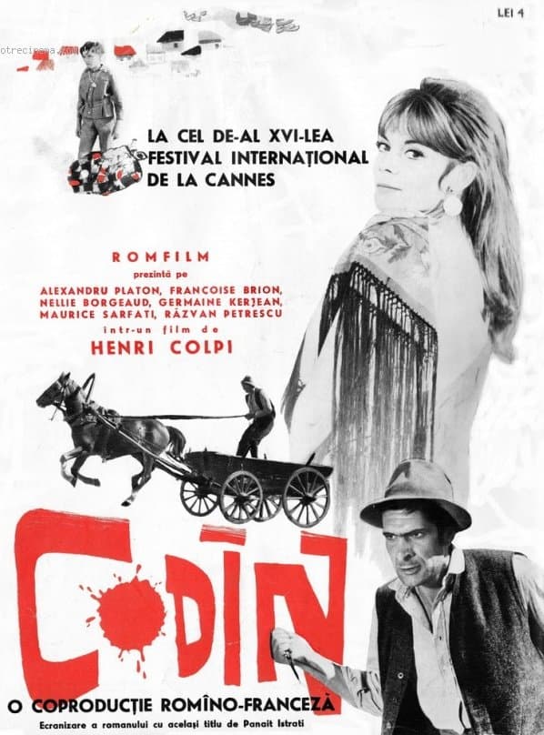 Codine photo