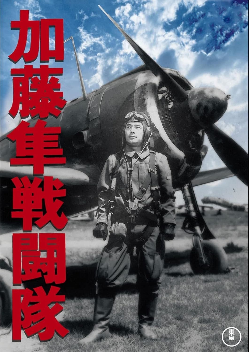 Colonel Kato's Falcon Squadron photo