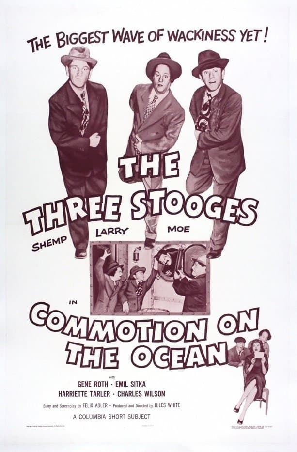 Commotion on the Ocean photo