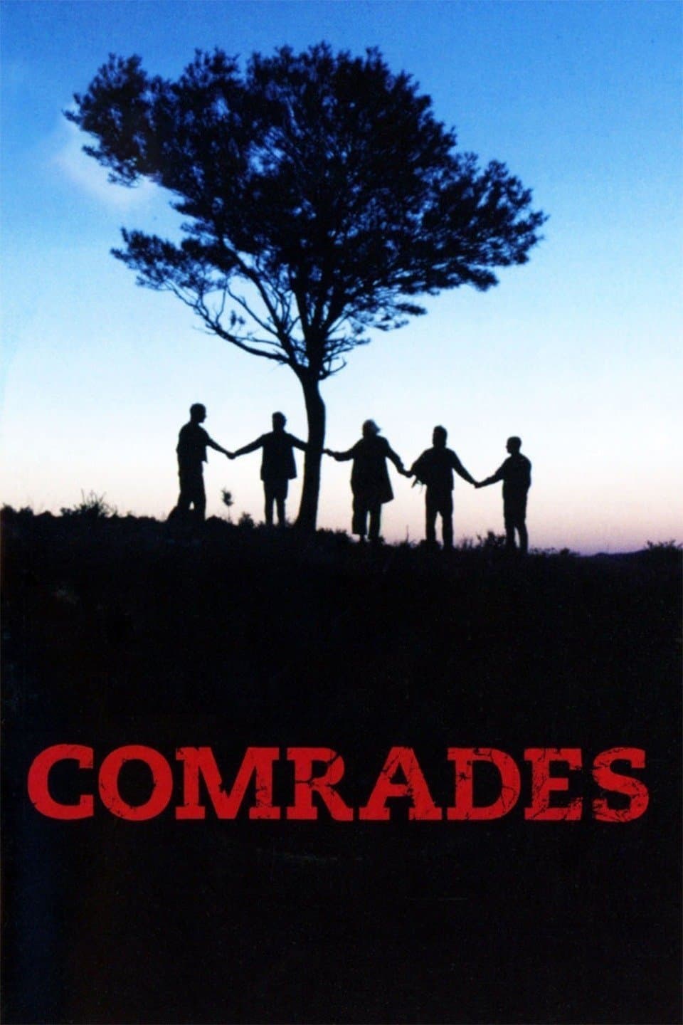 Comrades photo