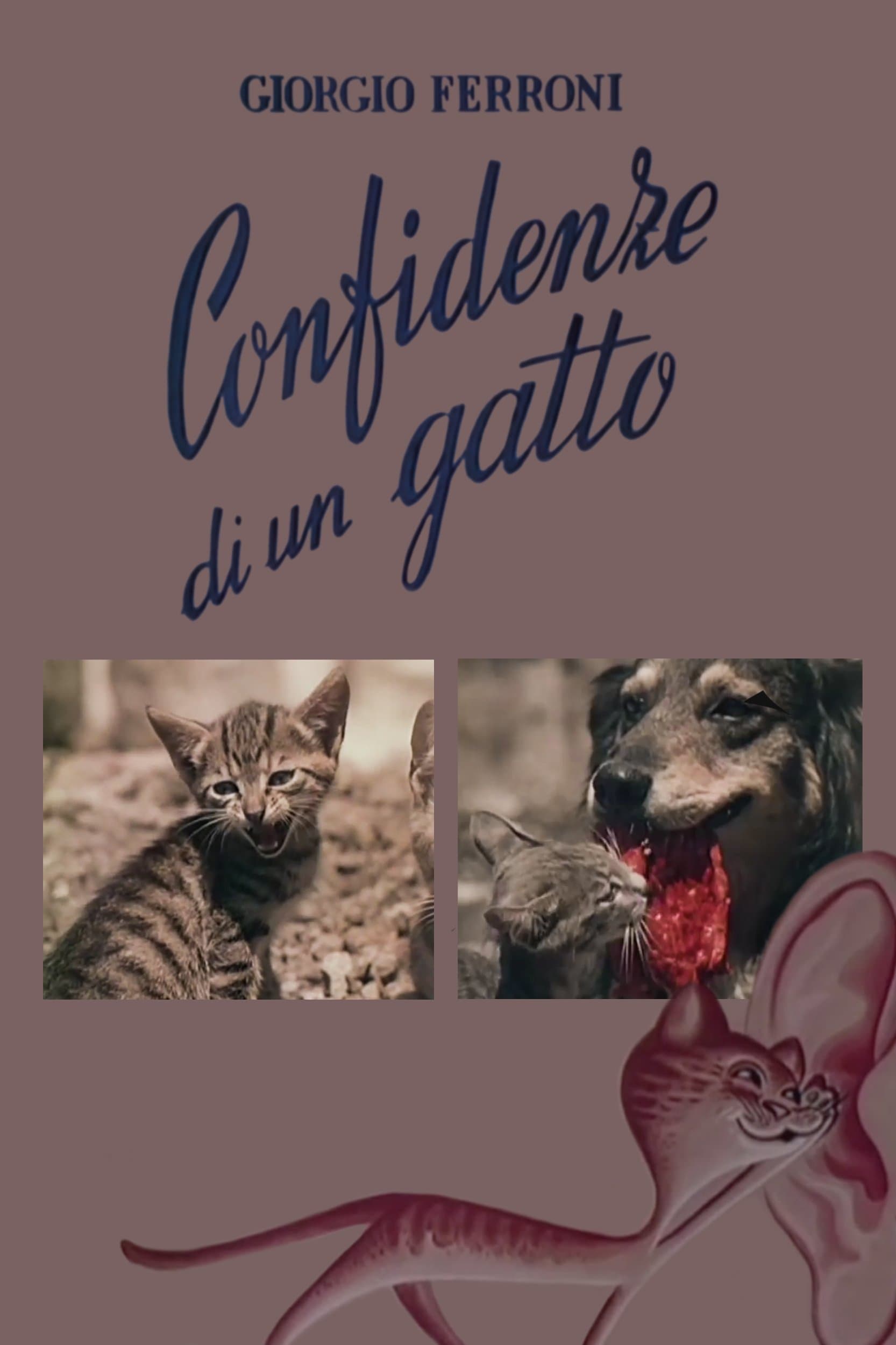 Confidenze di un gatto photo