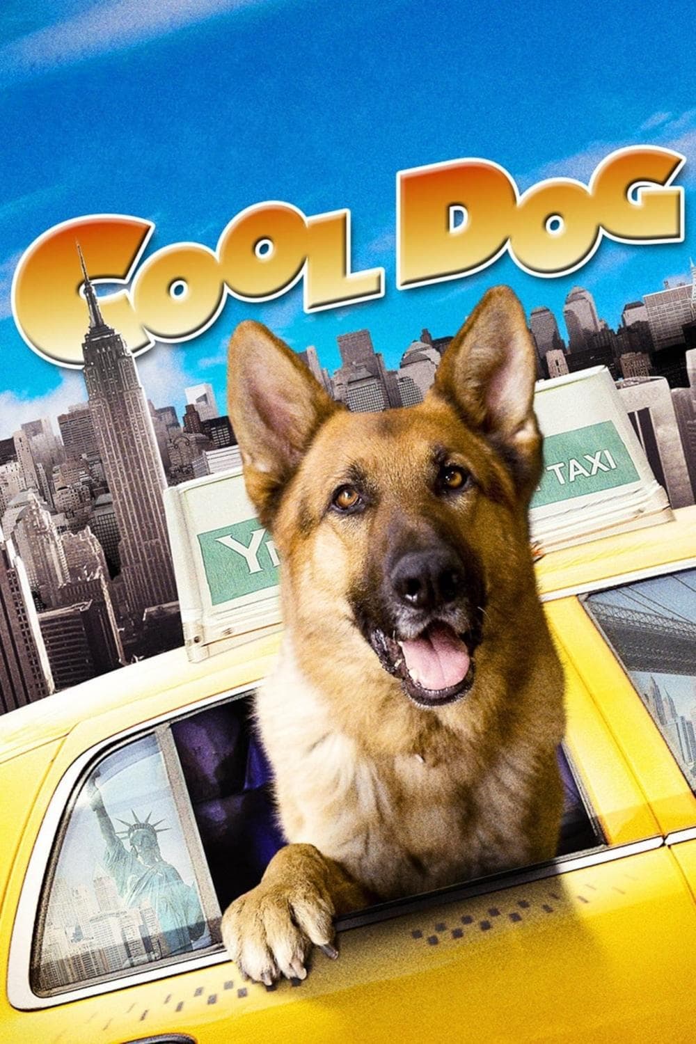 Cool Dog photo