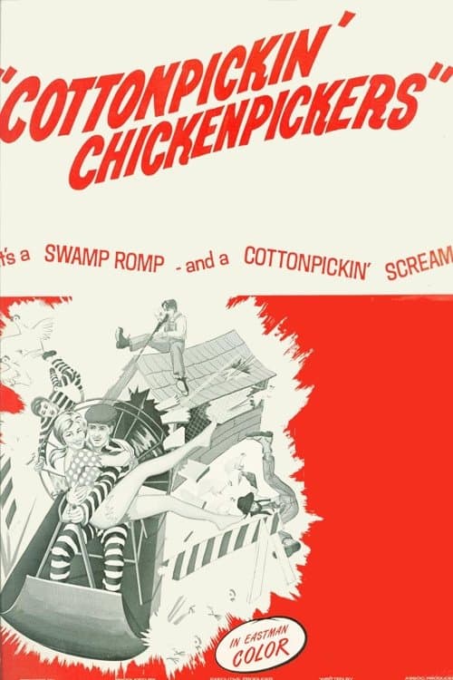 Cottonpickin' Chickenpickers photo