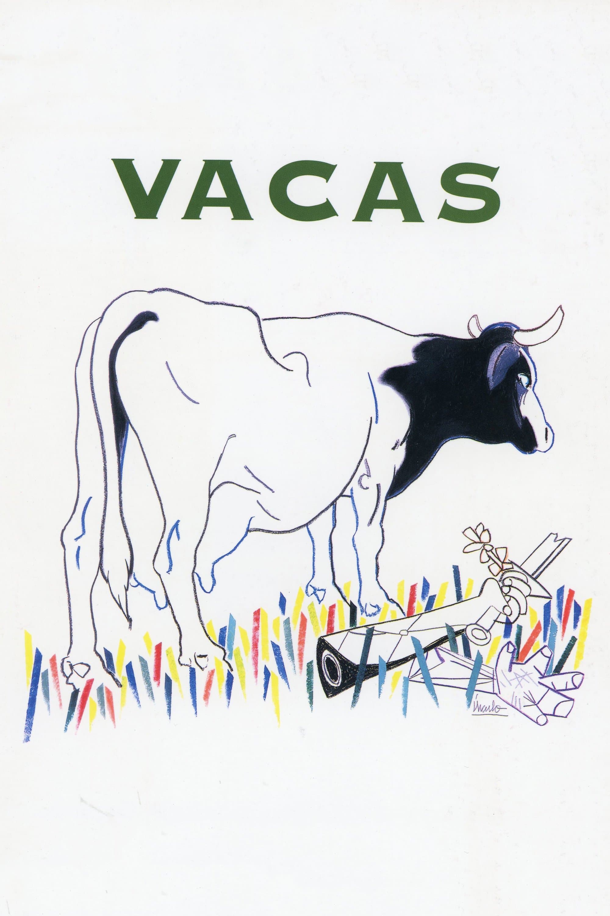Cows photo