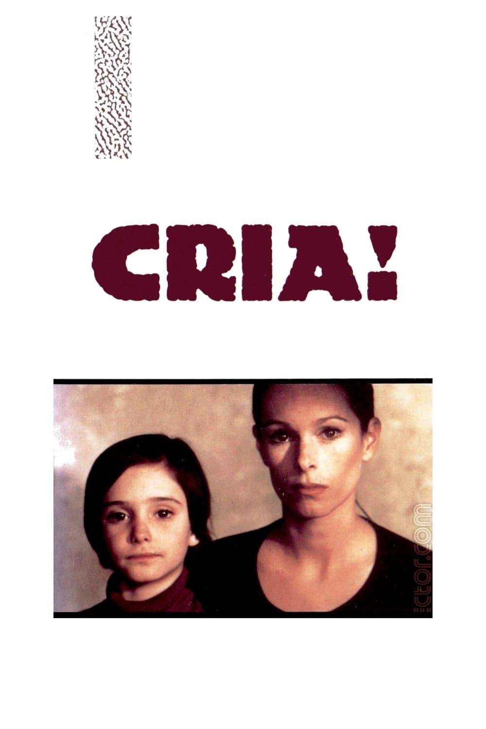 Cria! photo