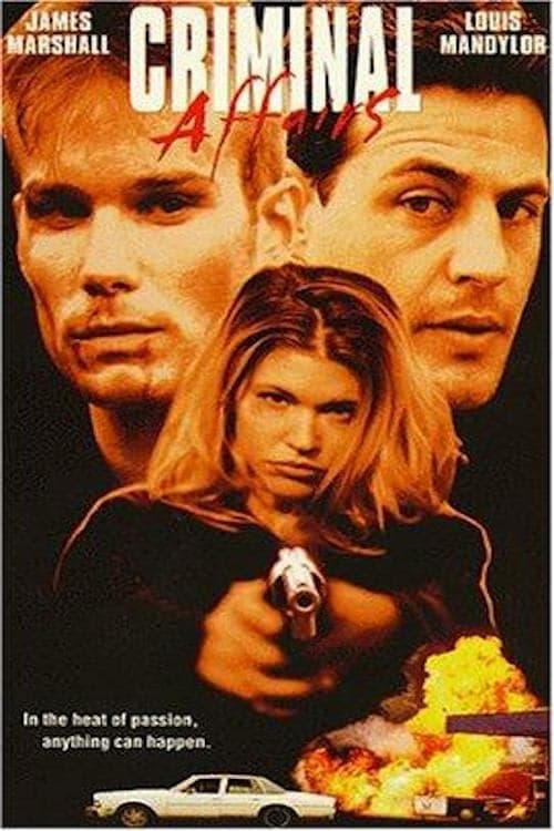 Criminal Affairs photo