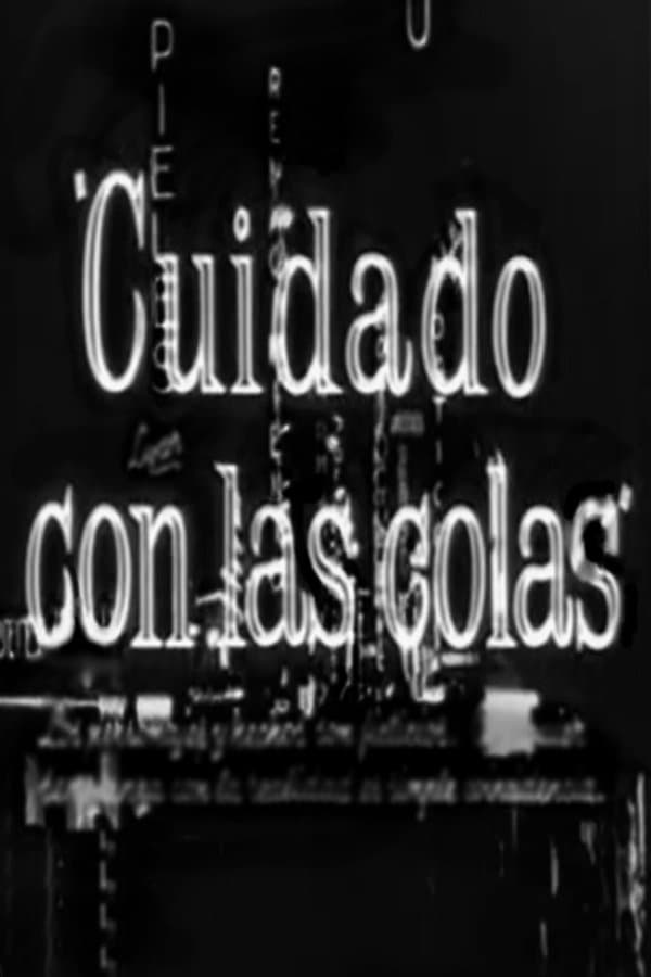 Cuidado con las colas photo