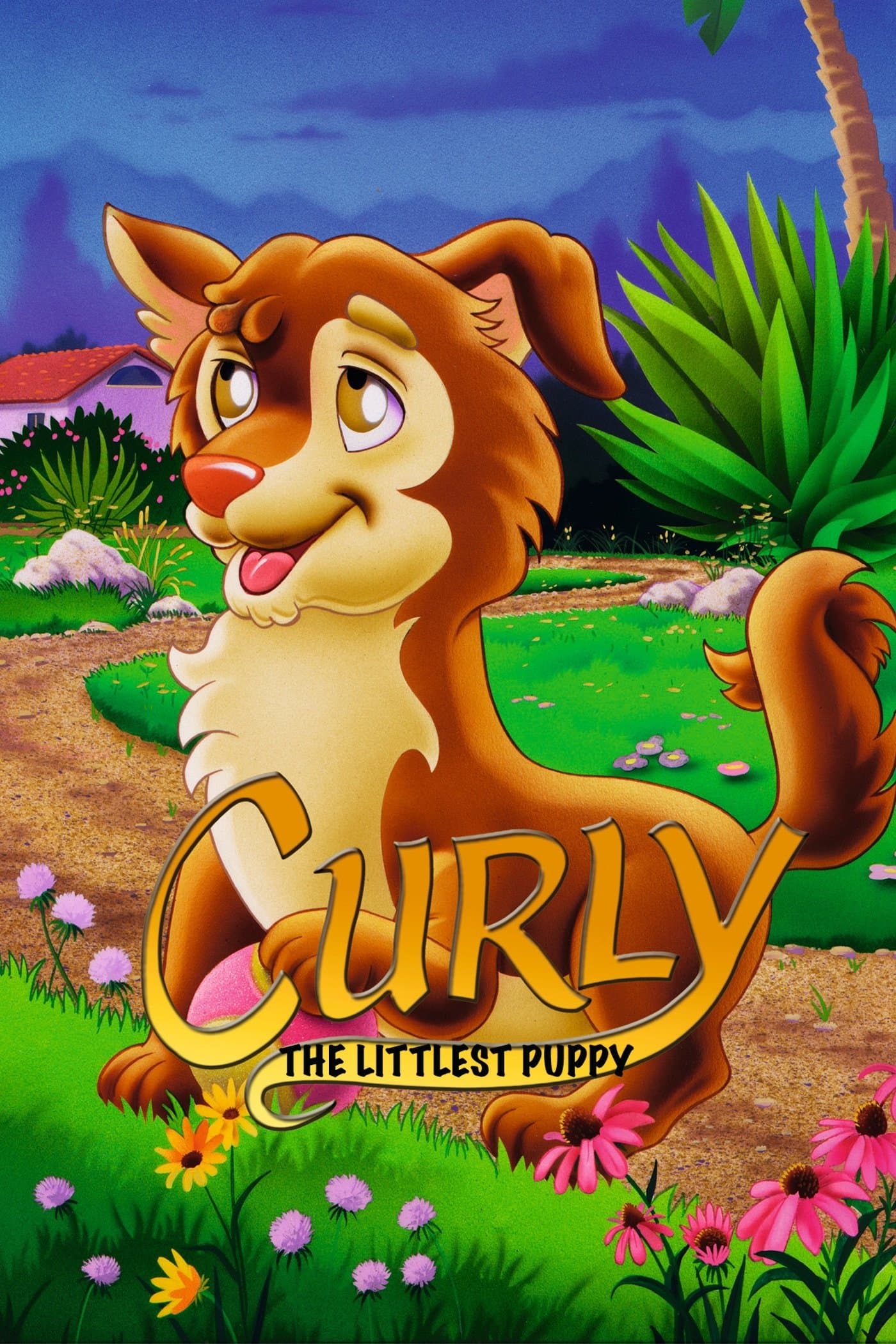 Curly - The Littlest Puppy photo