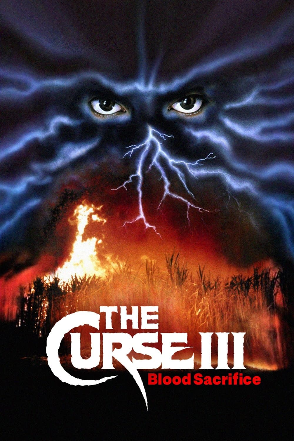 Curse III: Blood Sacrifice photo