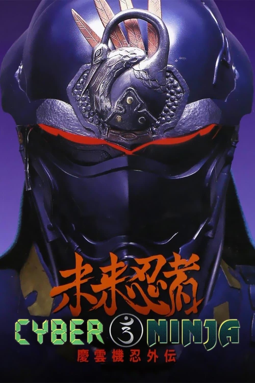 Cyber Ninja photo