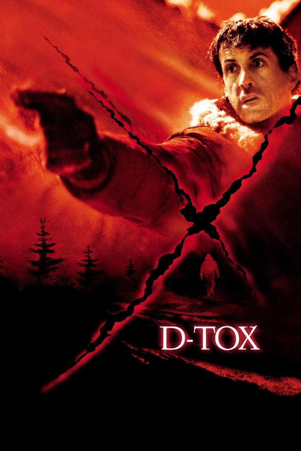 D-Tox photo