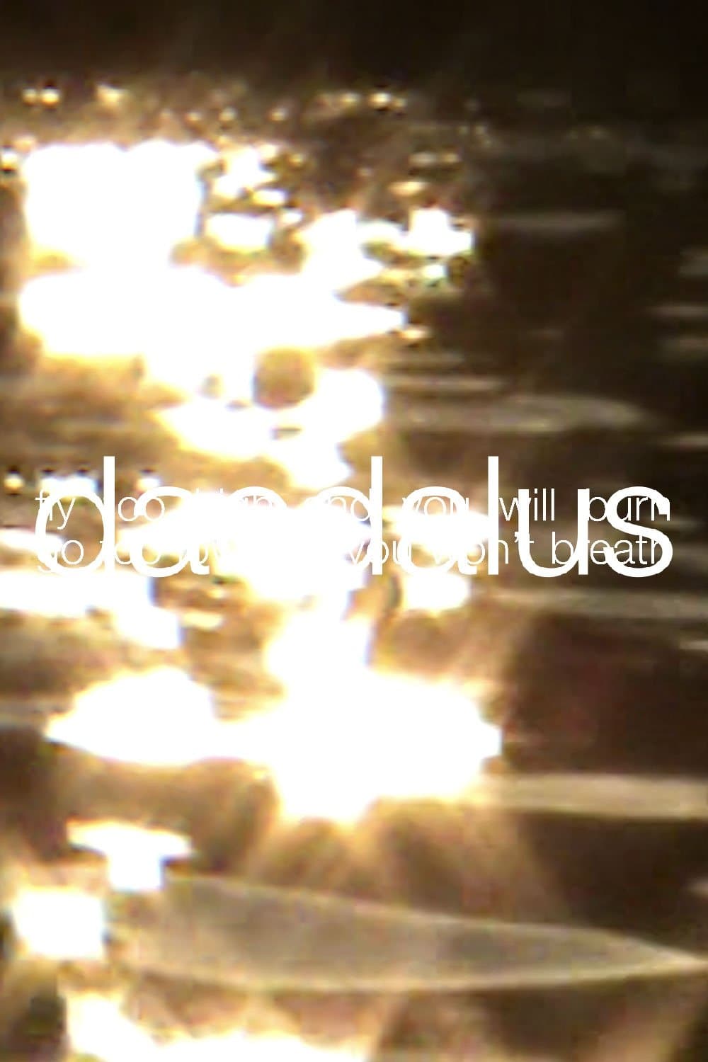 Daedalus photo