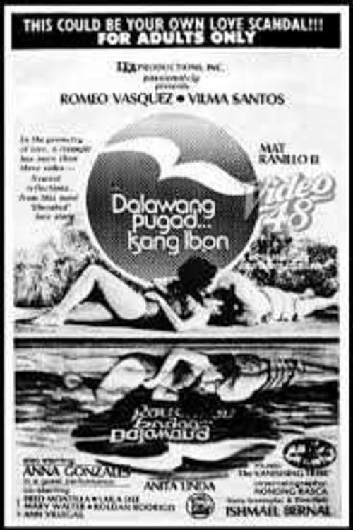 Dalawang Pugad... Isang Ibon photo