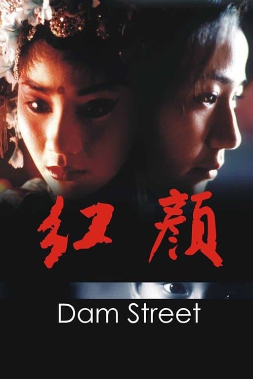 Dam Street photo