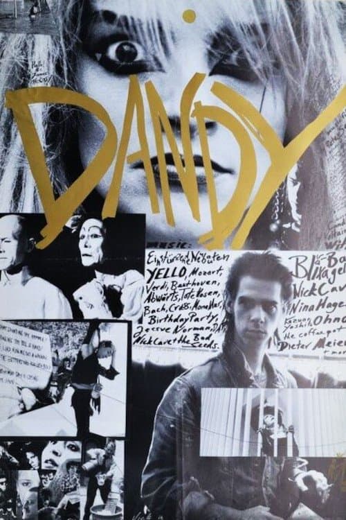 Dandy photo