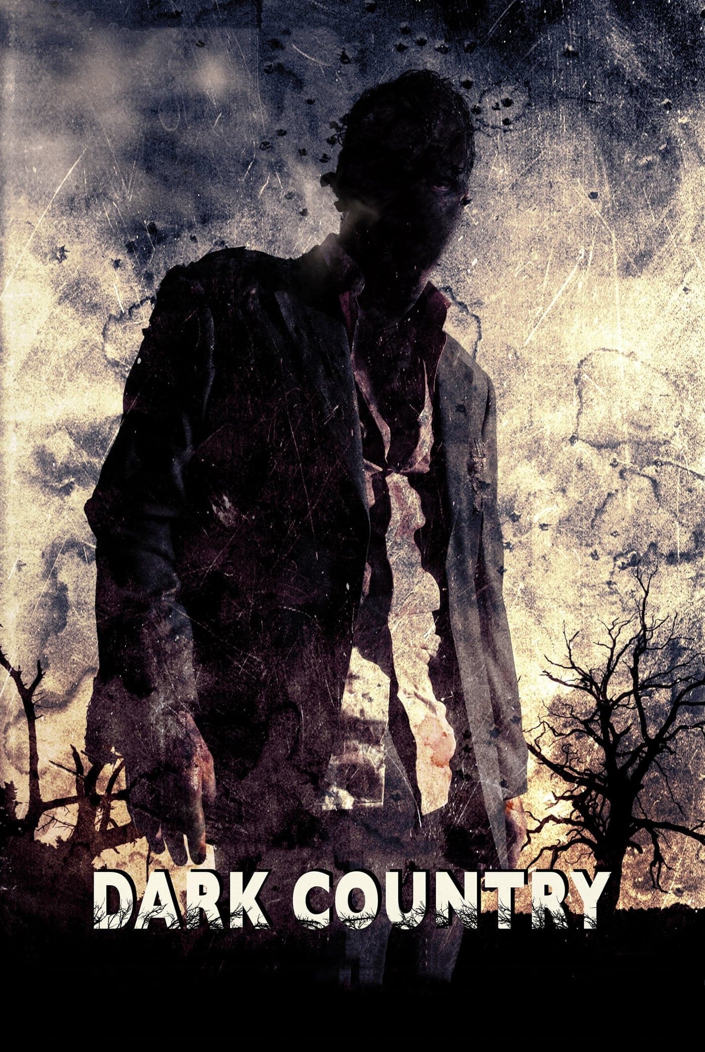 Dark Country photo