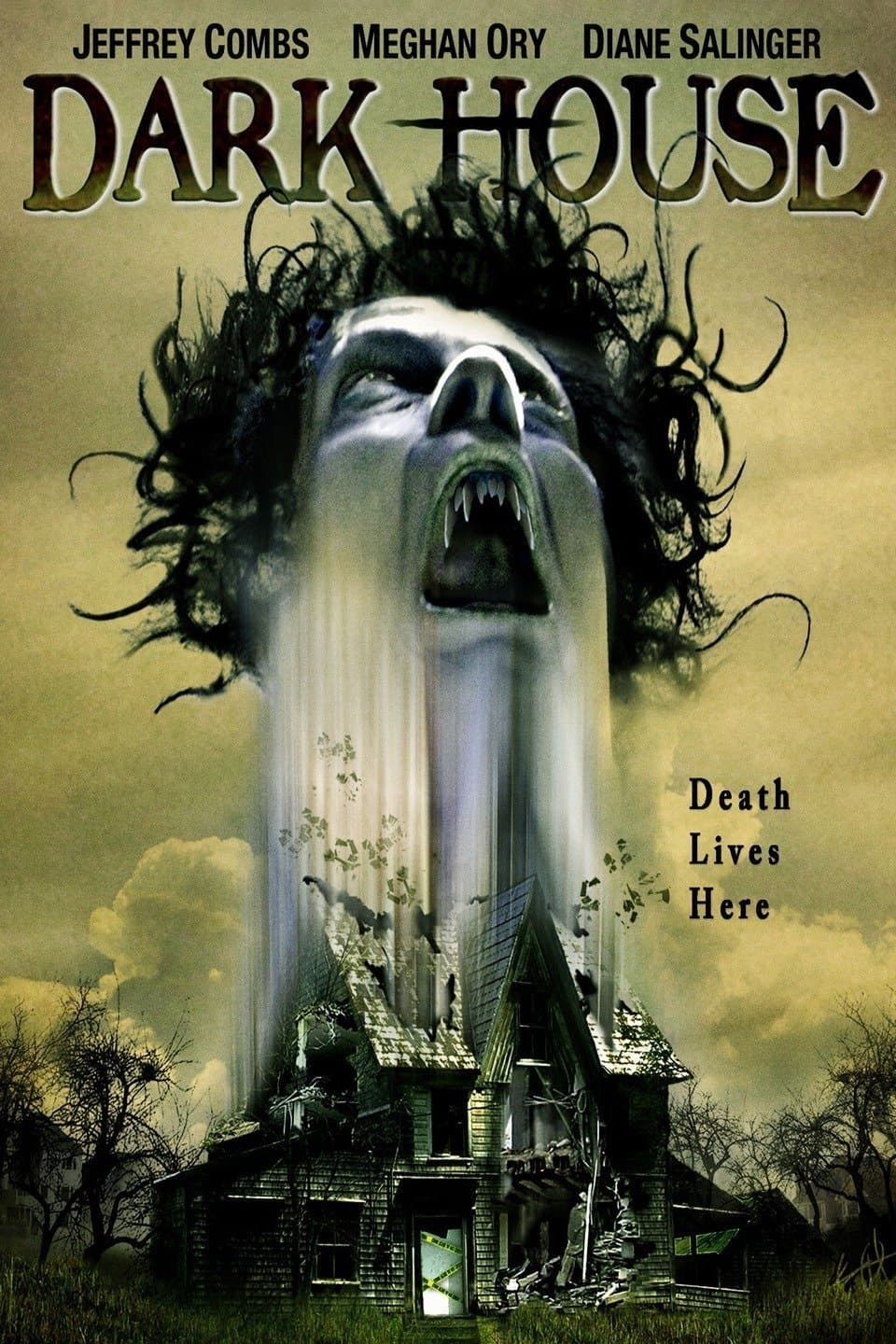 Dark House photo