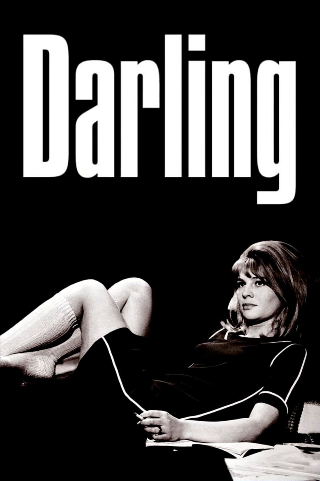 Darling photo