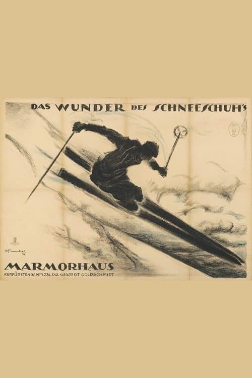 Das Wunder des Schneeschuhs photo