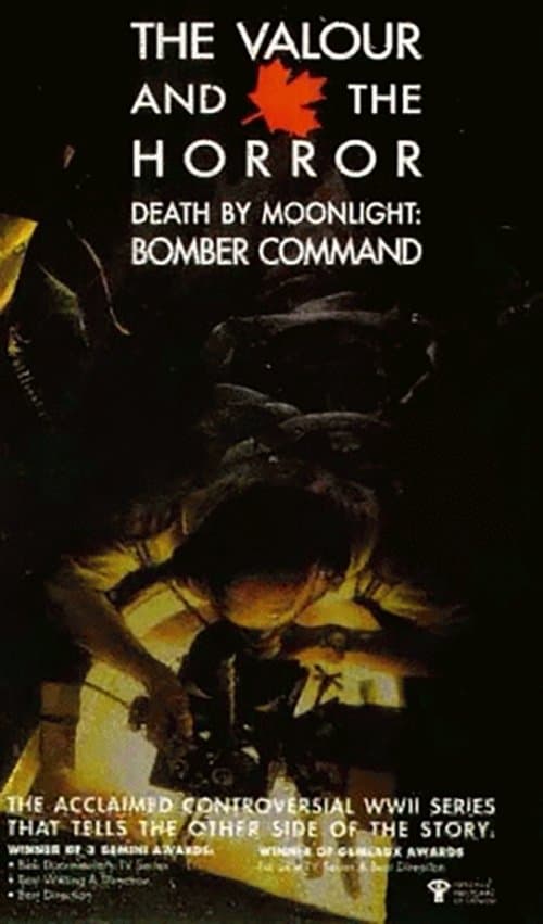 Death by Moonlight: Bomber Command photo