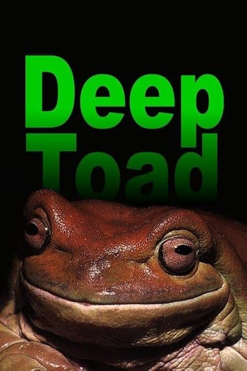 Deep Toad photo