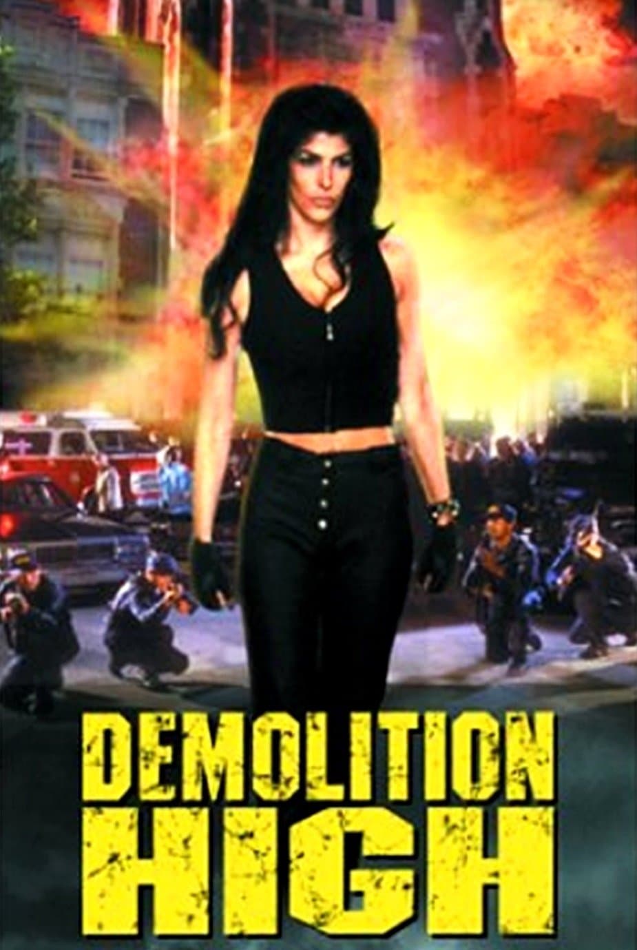Demolition High photo