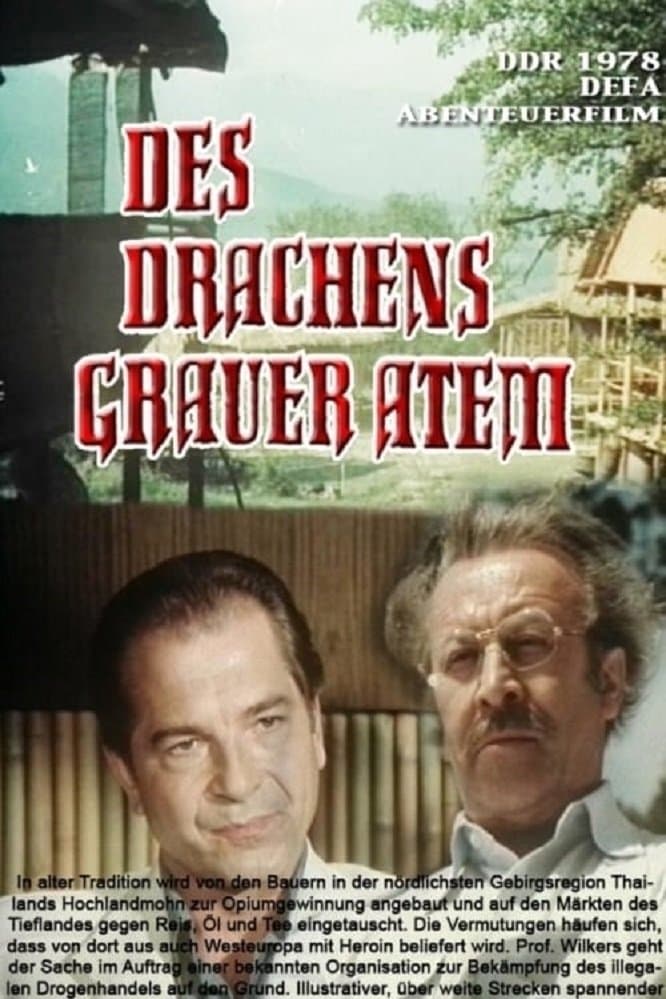 Des Drachens grauer Atem photo