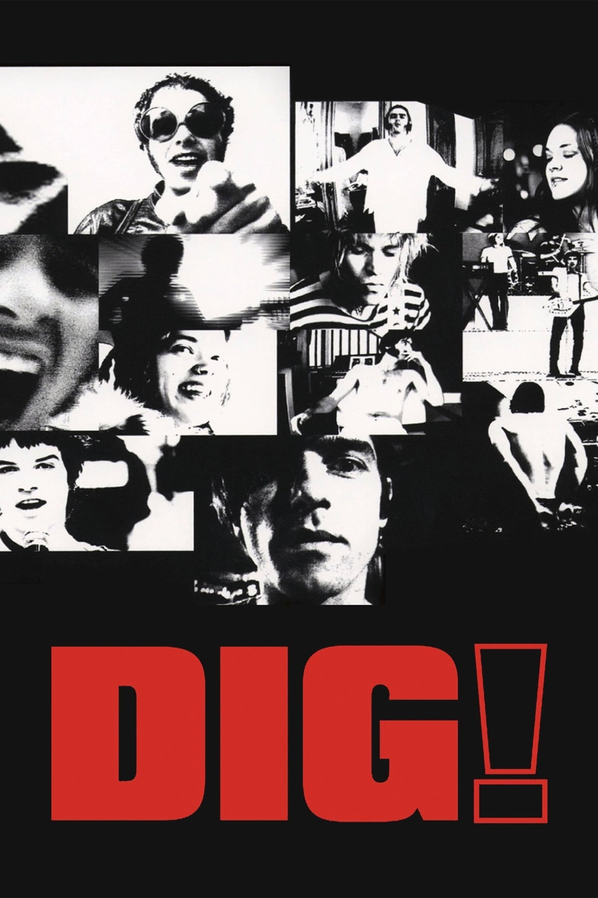 Dig! photo