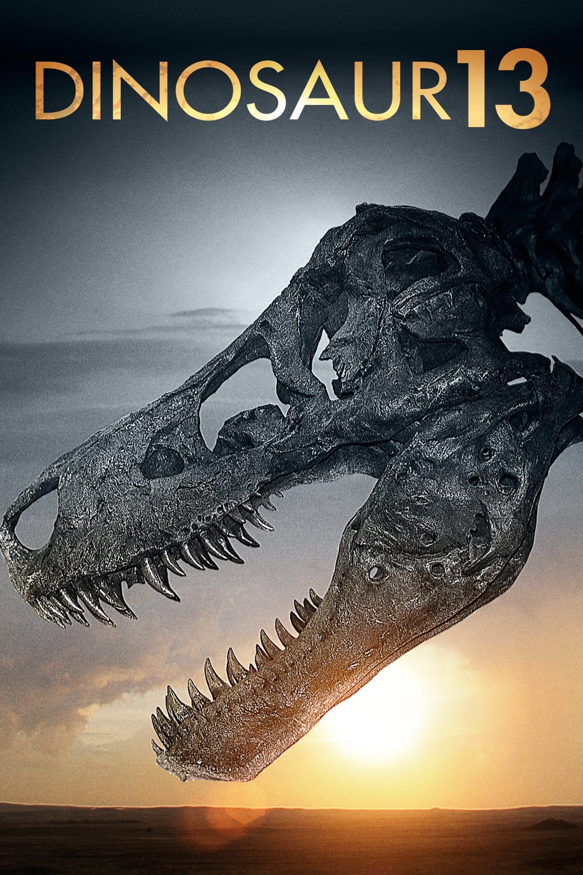 Dinosaur 13 photo