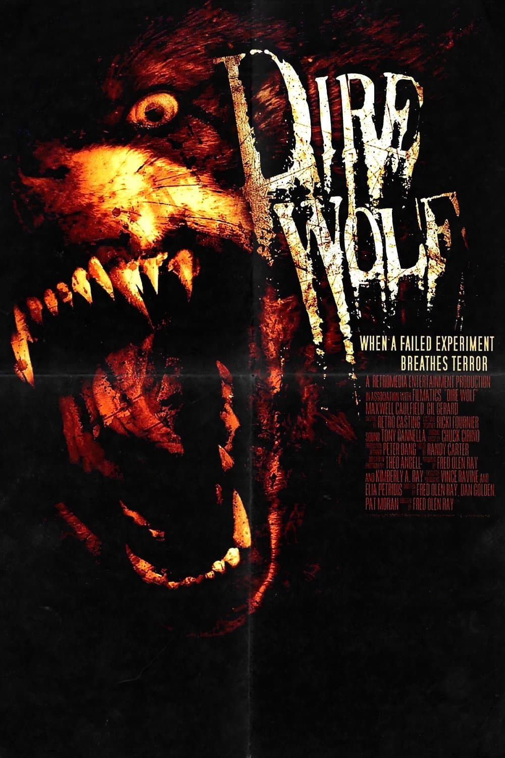 Dire Wolf photo