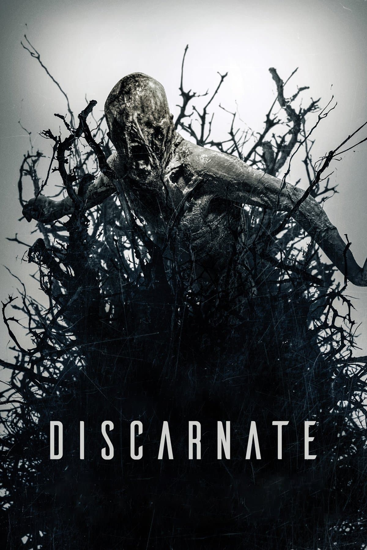 Discarnate photo