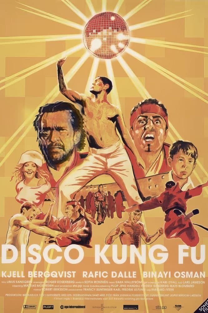 Disco Kung Fu photo